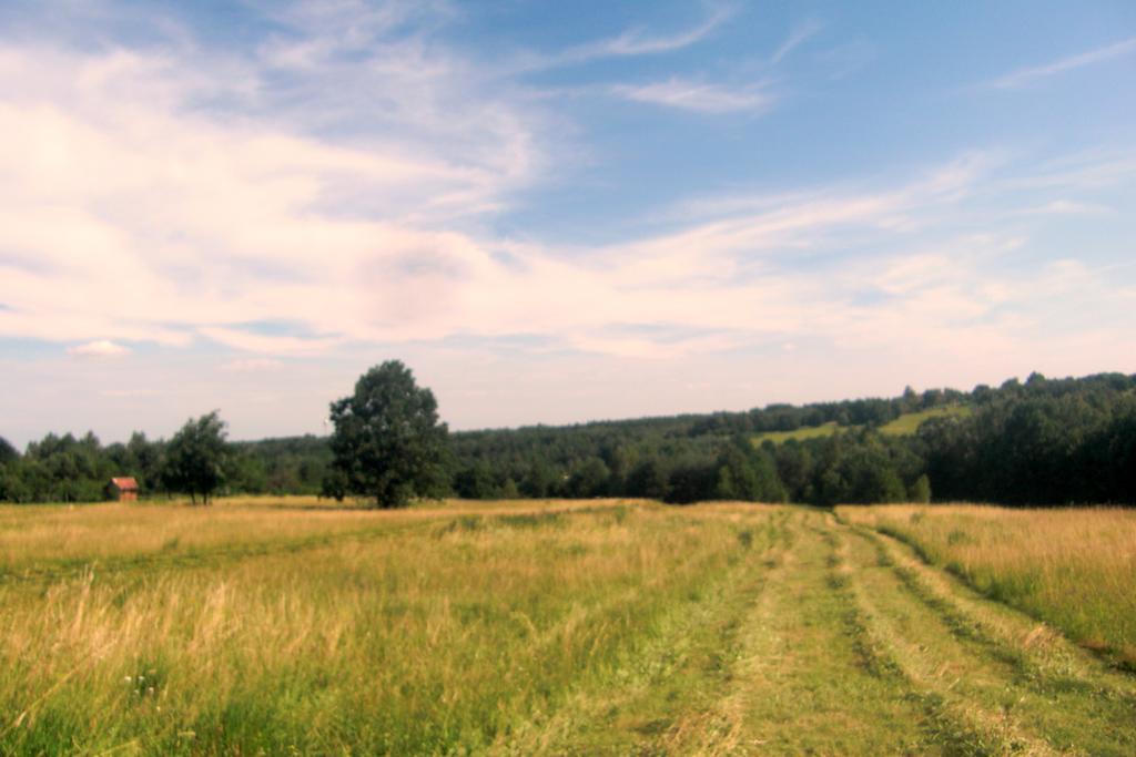 Naturpark Ferienhaus Szalafő Εξωτερικό φωτογραφία