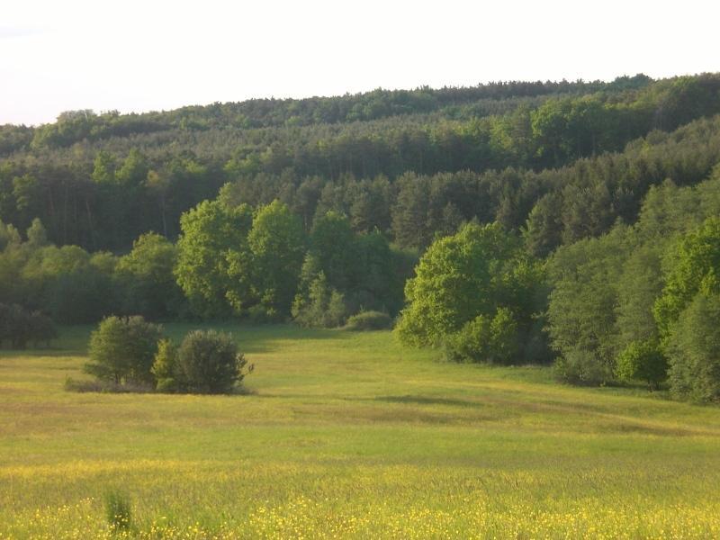 Naturpark Ferienhaus Szalafő Εξωτερικό φωτογραφία